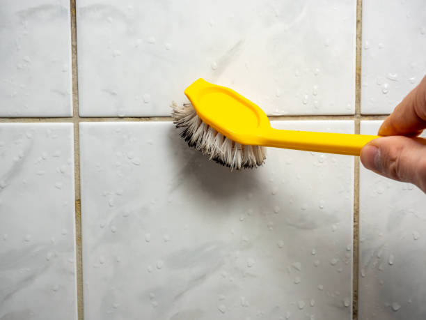 Best Toxic Mold Removal  in Pen Argyl, PA