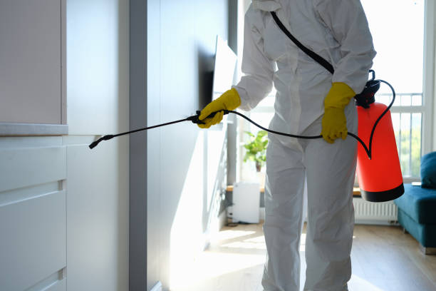 Best Toxic Mold Removal  in Pen Argyl, PA