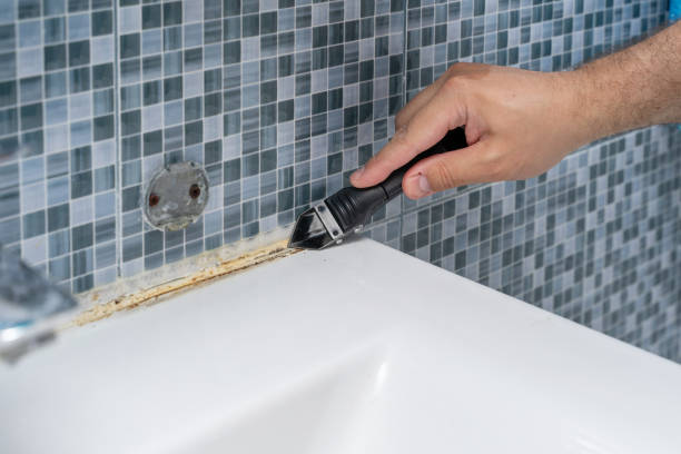 Best Emergency Mold Removal  in Pen Argyl, PA
